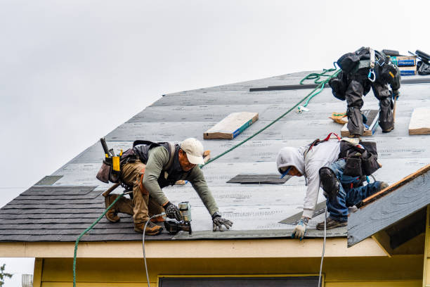 Professional Roof Repair technician working in Olanta, PA
